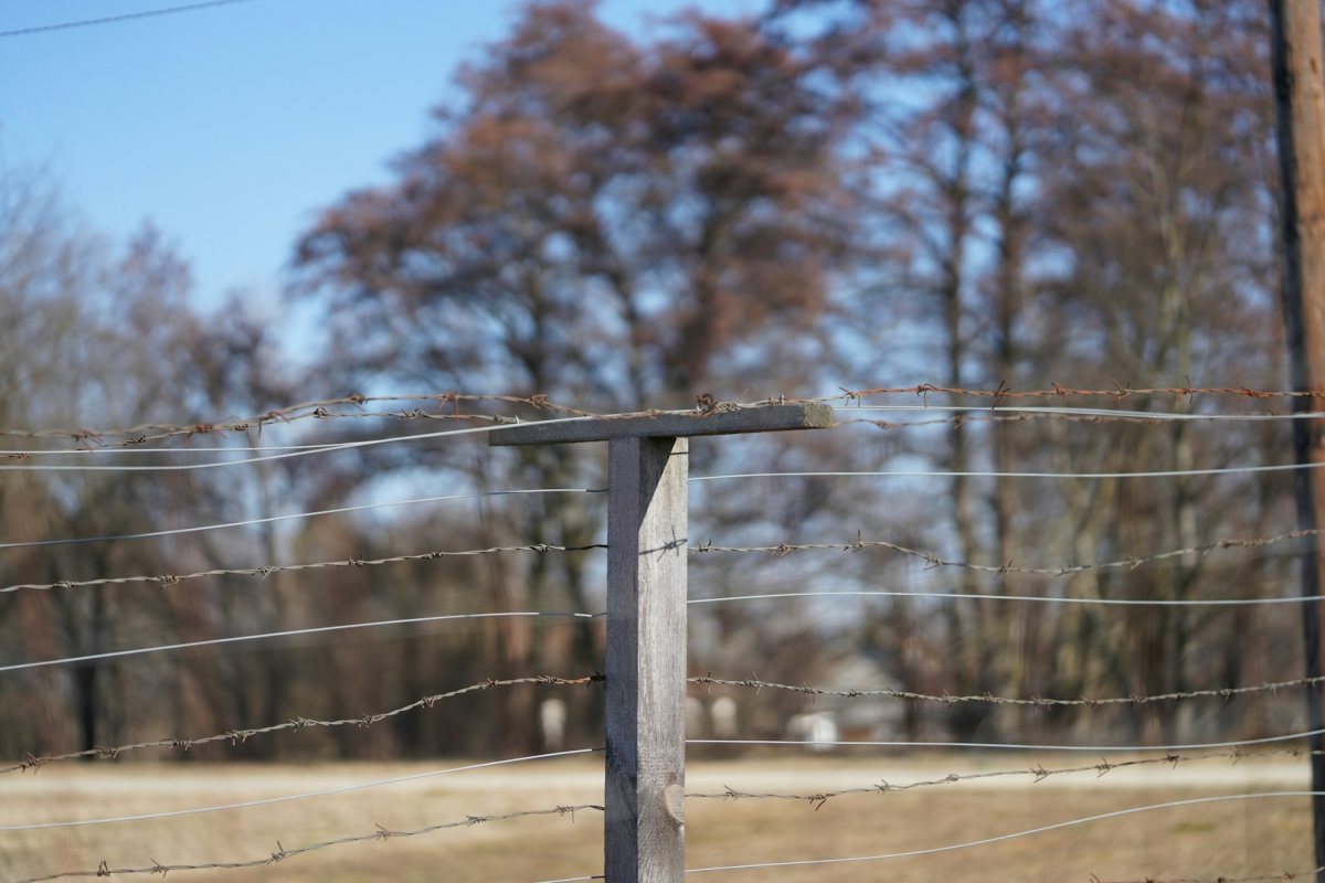 Dombrava rosina likumā skaidrāk pasargāt robežsargus no kriminālatbildības par likumīgu ieroču lietošanu