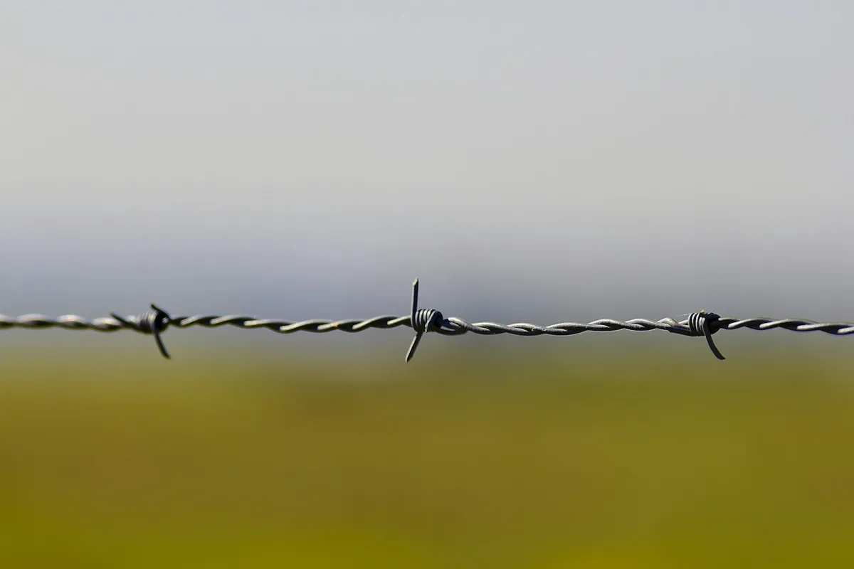 Uz Baltkrievijas robežas šogad atturēti 12 083 migranti – vairāk nekā visā pērnajā gadā