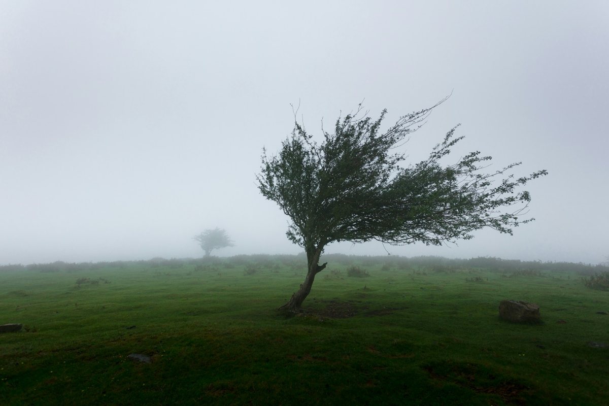 Piektdien Latviju sasniegs šī rudens pirmā vētra, piekrastē brāzmas var pārsniegt 25 metrus sekundē