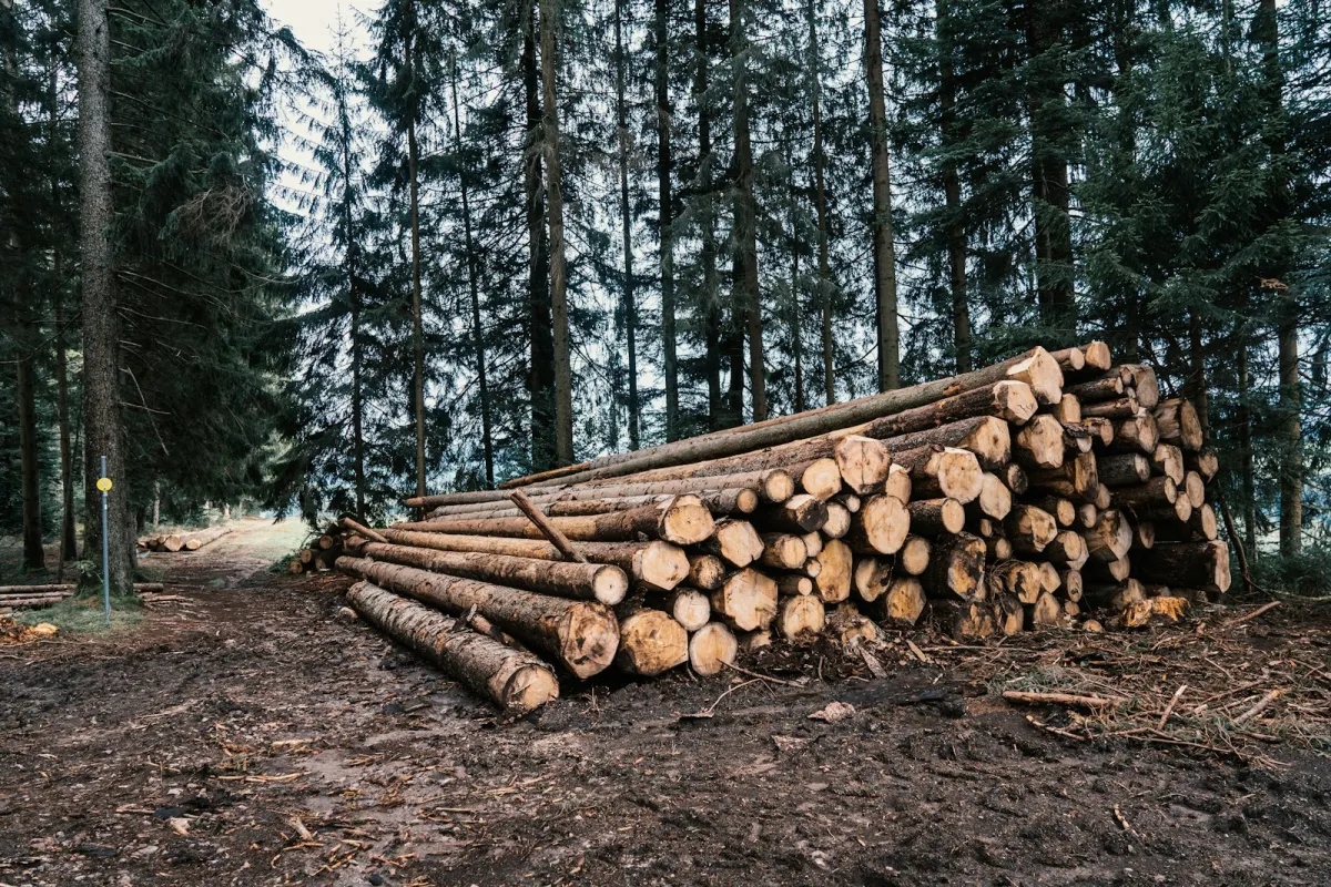 ZM: LVM turpinās pārvaldības un kiberdrošības izvērtēšana; valde kiberuzbrukumā rīkojusies rūpīgi